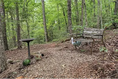 57 Wood Poppy View, Big Canoe, GA 30143 - Photo 62