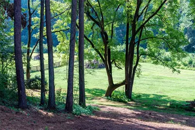 1783 Four Mile Church Road, Ball Ground, GA 30107 - Photo 8
