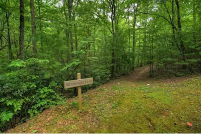 290 Old Anderson Creek Road, Ellijay, GA 30536 - Photo 92