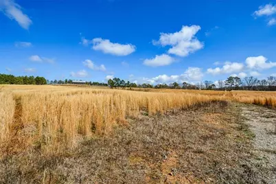 119 Inland 15 Acres Drive, Talking Rock, GA 30175 - Photo 6