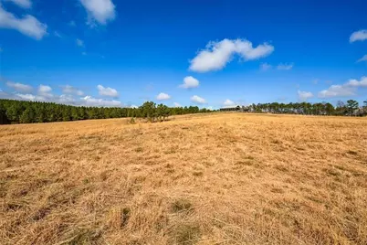 119 Inland 15 Acres Drive, Talking Rock, GA 30175 - Photo 2