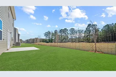 113 White Spruce Way, Newnan, GA 30265 - Photo 2