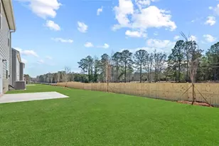 113 White Spruce Wy, Newnan, GA 30265 - Photo 2