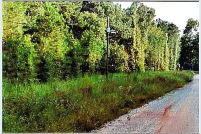 0 Felton McMichael Rd  - Landlot 090-091 Road, Monticello, GA 31064 - Photo 2