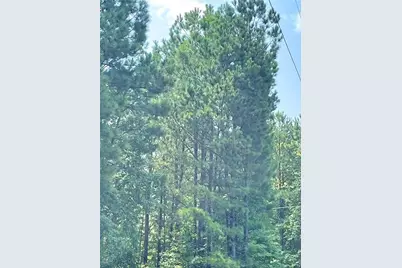 0 Felton McMichael Rd  - Landlot 090-091 Road, Monticello, GA 31064 - Photo 6