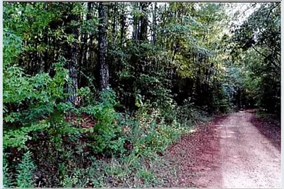 0 Felton McMichael Rd  - Landlot 090-091 Road, Monticello, GA 31064 - Photo 4