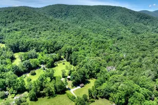 2628 Big Creek Rd, Cherry Log, GA 30522 - Photo 60