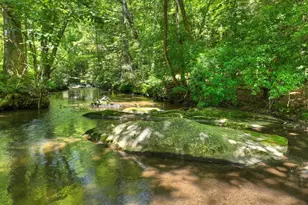 2628 Big Creek Rd, Cherry Log, GA 30522 - Photo 68