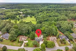 445 Flowering Trail, Grayson, GA 30017 - Photo 64