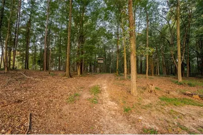 195 Sims Farm Way Road, Maysville, GA 30558 - Photo 84