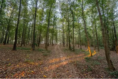 195 Sims Farm Way Road, Maysville, GA 30558 - Photo 88