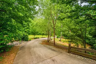 190 Still Rd, Clarkesville, GA 30523 - Photo 88