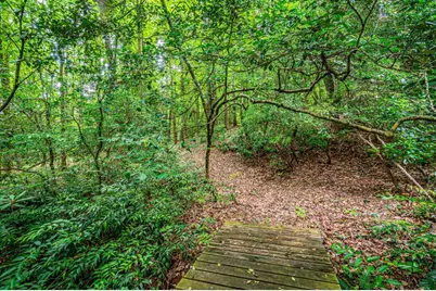 190 Still Road, Clarkesville, GA 30523 - Photo 78