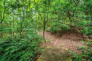 190 Still Rd, Clarkesville, GA 30523 - Photo 78