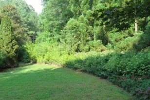 102 Westmont Way, Tyrone, GA 30290 - Photo 50