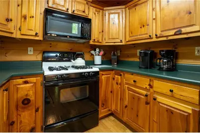 305 Martin Crossing, Cherry Log, GA 30522 - Photo 8