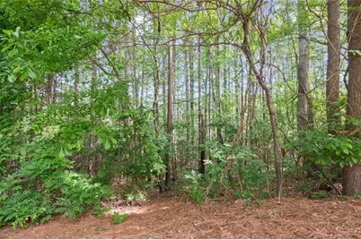 138 Bellehaven Drive, Woodstock, GA 30188 - Photo 38
