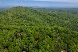 305 Martin Crossing, Cherry Log, GA 30522 - Photo 38