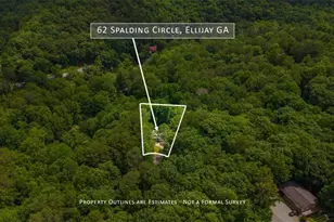 62 Spalding Ct, Ellijay, GA 30540 - Photo 10