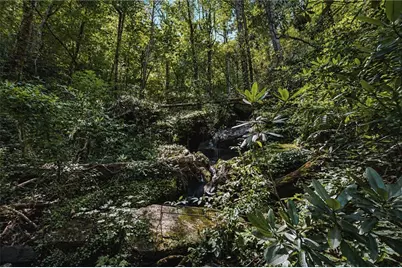 349 Whitewater Trail, Dahlonega, GA 30533 - Photo 32