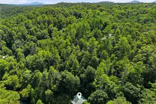 349 Whitewater Trail, Dahlonega, GA 30533 - Photo 4