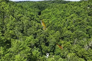 349 Whitewater Trail, Dahlonega, GA 30533 - Photo 42