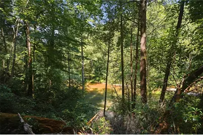 349 Whitewater Trail, Dahlonega, GA 30533 - Photo 34