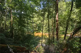 349 Whitewater Trail, Dahlonega, GA 30533 - Photo 34