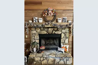 349 Whitewater Trail, Dahlonega, GA 30533 - Photo 64