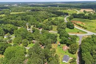 919 Paige Ct, Social Circle, GA 30025 - Photo 38