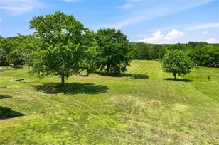 1270 Hwy 53, Hoschton, GA 30548 - Photo 50