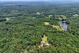 331 Blackberry Trail, Ball Ground, GA 30107 - Photo 48