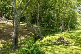 28 Wood Ln, Blue Ridge, GA 30513 - Photo 58