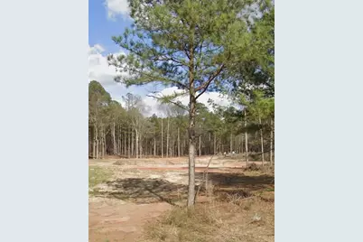 5020 Guthrie Cemetery Road, Loganville, GA 30052 - Photo 1