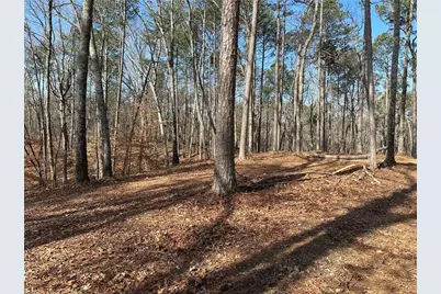 183 Moody Meadows Trail, Canton, GA 30114 - Photo 12