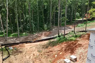 1686 Kilcrease Rd, Bethlehem, GA 30620 - Photo 4
