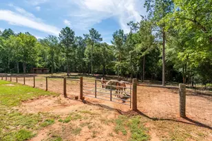 1040 Pintail Ln, Madison, GA 30650 - Photo 32