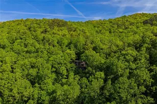 1049 Rockwater Road, Ellijay, GA 30536 - Photo 40