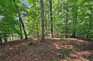 4521 Shoreline Dr, Gainesville, GA 30506 - Photo 62