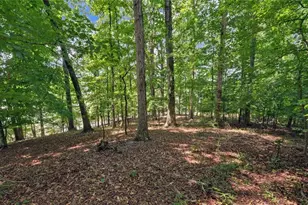4521 Shoreline Dr, Gainesville, GA 30506 - Photo 60