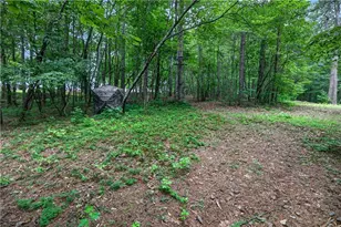 2404 Corinth Poseyville Rd, Bremen, GA 30110 - Photo 76