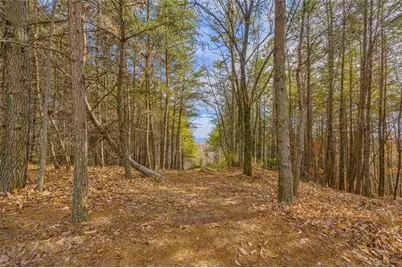 0 Eagle Ridge Trail Lot #4 & Lot #5, Cleveland, GA 30528 - Photo 26