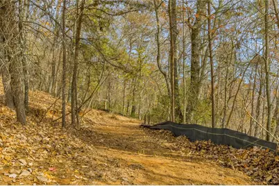 0 Eagle Ridge Trail Lot #4 & Lot #5, Cleveland, GA 30528 - Photo 18