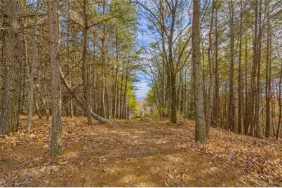 0 Eagle Ridge Trail Lot #4 & Lot #5, Cleveland, GA 30528 - Photo 38