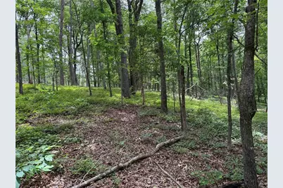 17 Norton Trail, Dahlonega, GA 30533 - Photo 4