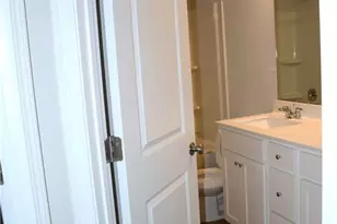 1121 Pt Pl Dr, Loganville, GA 30052 - Photo 28
