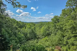 120 Sunrock Mountain Trace, Blue Ridge, GA 30513 - Photo 66