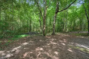 994 Rainey Rd, Temple, GA 30179 - Photo 66