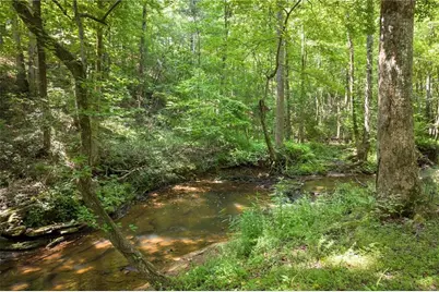 4743 Waleska Highway 108, Jasper, GA 30143 - Photo 70