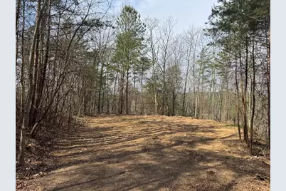 1450 Hanna Drive, Ranger, GA 30734 - Photo 6
